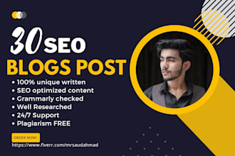 write 30 SEO friendly article writing and blog posts, blog writing