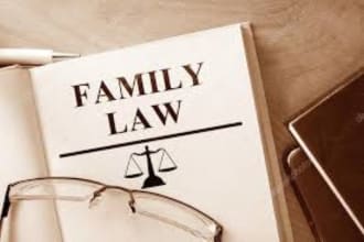 draft documents and research case laws for family law