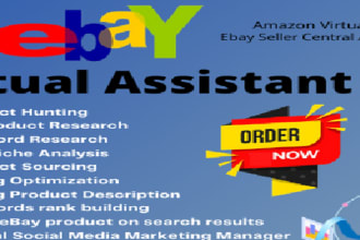 do ebay listing, ebay product listing, ebay SEO listing, ebay lister