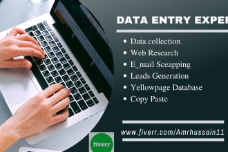 do excel data entry, data collection and web research