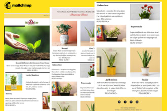 setup klaviyo email marketing template, klaviyo email flows