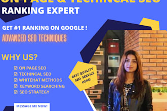 do website on page SEO and technical optimization  for wordpress