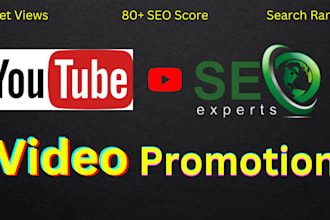 do youtube channel SEO and video promotion manually