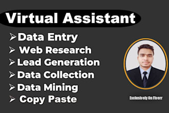 do data entry, excel, copy paste, web research as a virtual assistant