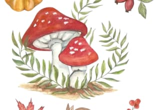 do a watercolor illustration