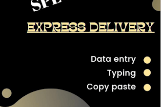 be virtual assistant in data entry and freelancing