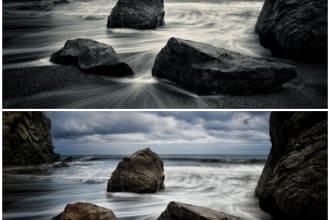 colorize black and white photo