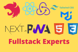 develop nodejs, expressjs, nestjs, nextjs applications