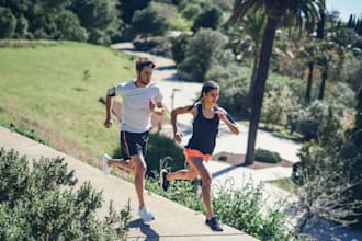 provide a cardio training program guide