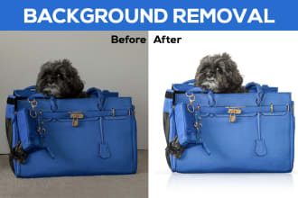 cut out images, cut out photos background remove, white, transparent bg