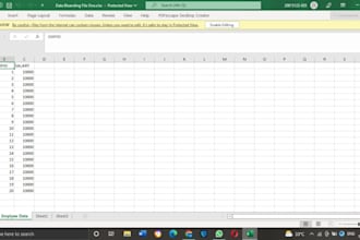 ms office, excel editing
