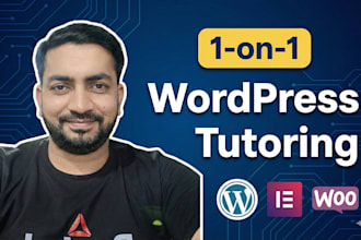 teach you wordpress website design, wp SEO, elementor, or woocommerce