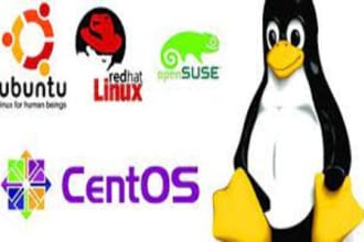 fix, install lunix sever,whm,cpanel, and write bash shell