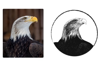 vectorize your photo in black and white