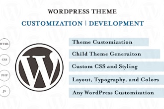 do design and theme customization for your wordpress website