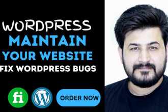 help you in wordpress website maintenance and updates