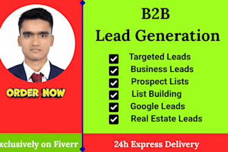 do b2b lead generation web research and data entry