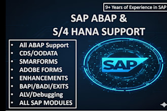 do sap abap development and consultation