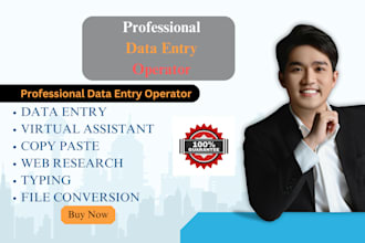 do accurate data entry, fast typing, and web research