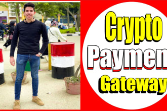 build cryptocurrency payment gateway, crypto wallet