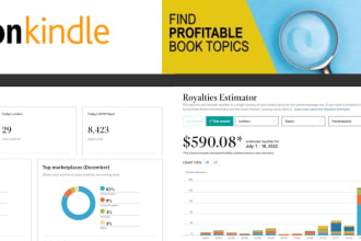 amazon KDP profitable niche