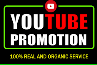 promote dailymotion and youtube video to make them viral