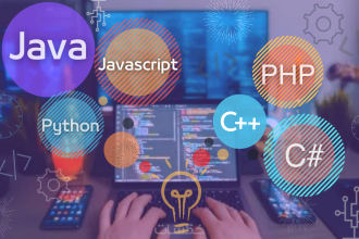 do java programming project or task