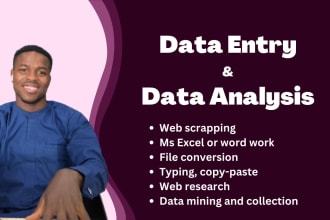 do data entry, web scraping, data mining and excel for data analysis