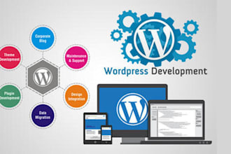 develop, debug, and modify your wordpress, shopify websites