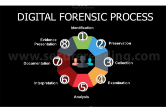 perform computer forensics and digital investigation