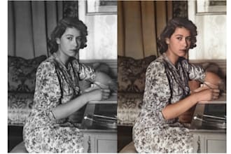 colorize your old photo