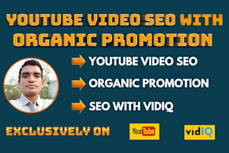 do best youtube video SEO with organic promotion