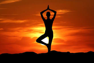 teach yoga basics, meditation, and diet plans with life coaching