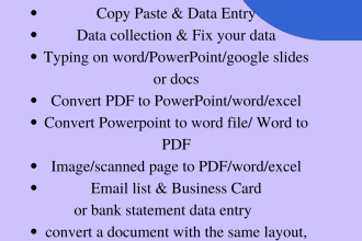 do data entry copy paste or convert data files to ms w,e,p