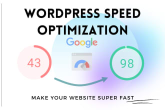 do speed optimization wordpress website for google pagespeed insights