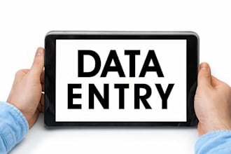 do data entry, typing in ms office