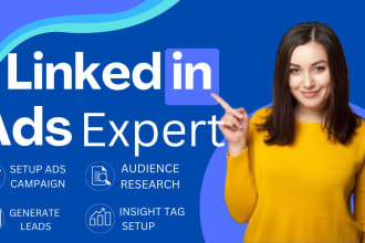 do linkedin ads campaign marketing and leads generation professionally