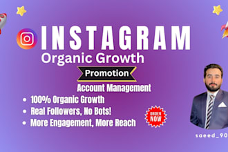 manage and do instagram promotion for organic growth