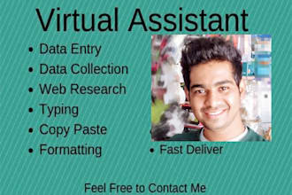 be your virtual assistant for data entry