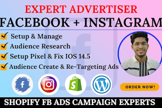setup facebook and instagram ads and shopify fb ads campaign