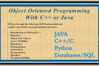 teach you java, oop, cpp, python and website development