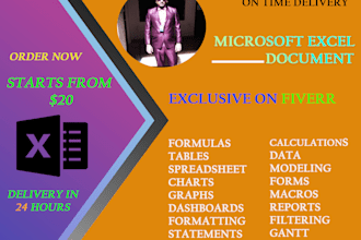 edit, design, format, develop spreadsheets on microsoft excel