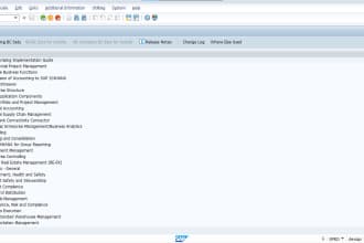 help you in sap consulting