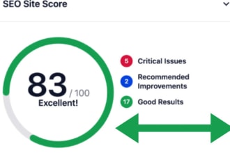 prepare a professional SEO audit report for your website