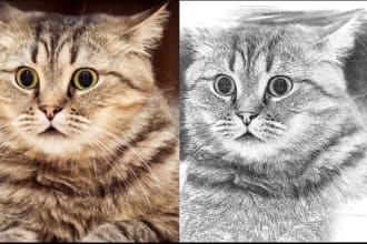 make any kind of creative and perfect color pencil sketch for you