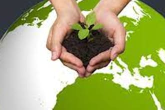 assist in people and environment projects