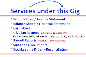prepare profit and loss, USA tax returns, form 1040, 1120, schedule c