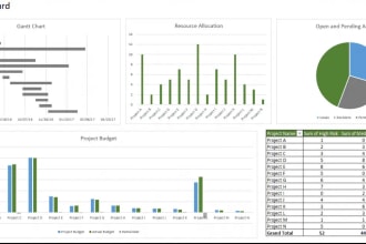 data analysis, pivotal analysis and formulation in excel