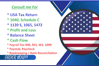 prepare profit and loss, US income tax, schedule c, form 1040, 1120