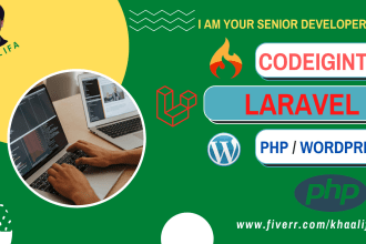 develop, fix, customize in laravel, codeigniter, PHP, wordpress